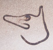 wolfshead.jpg